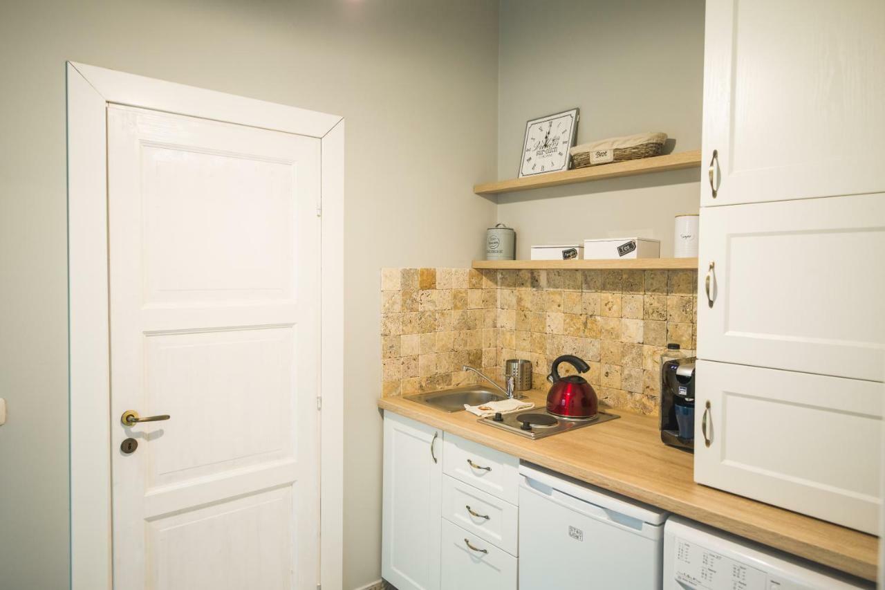 Chic Apartment In Historical City Center Тімішоара Екстер'єр фото
