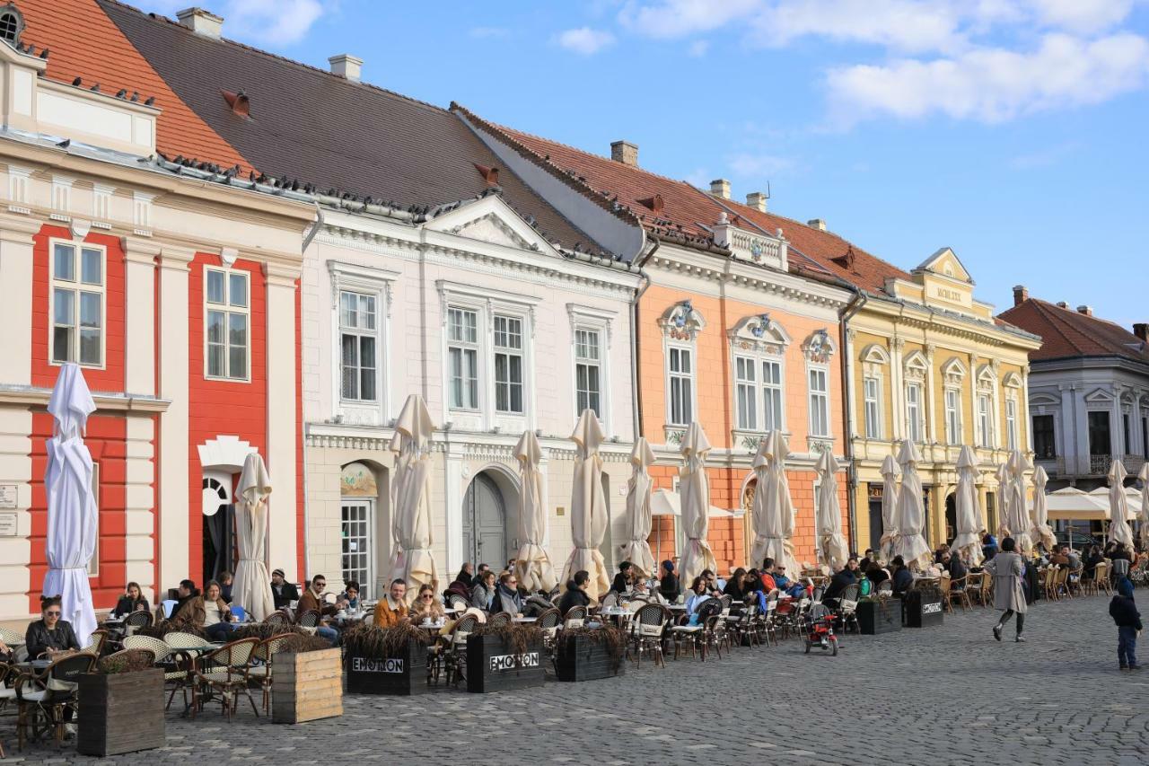 Chic Apartment In Historical City Center Тімішоара Екстер'єр фото
